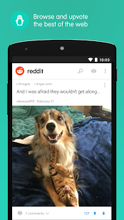 Download Reddit: The Official App